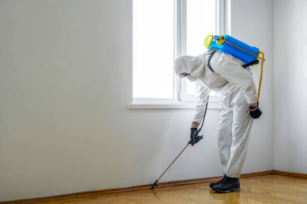 Best Residential Pest Control  in New Paleste, IN